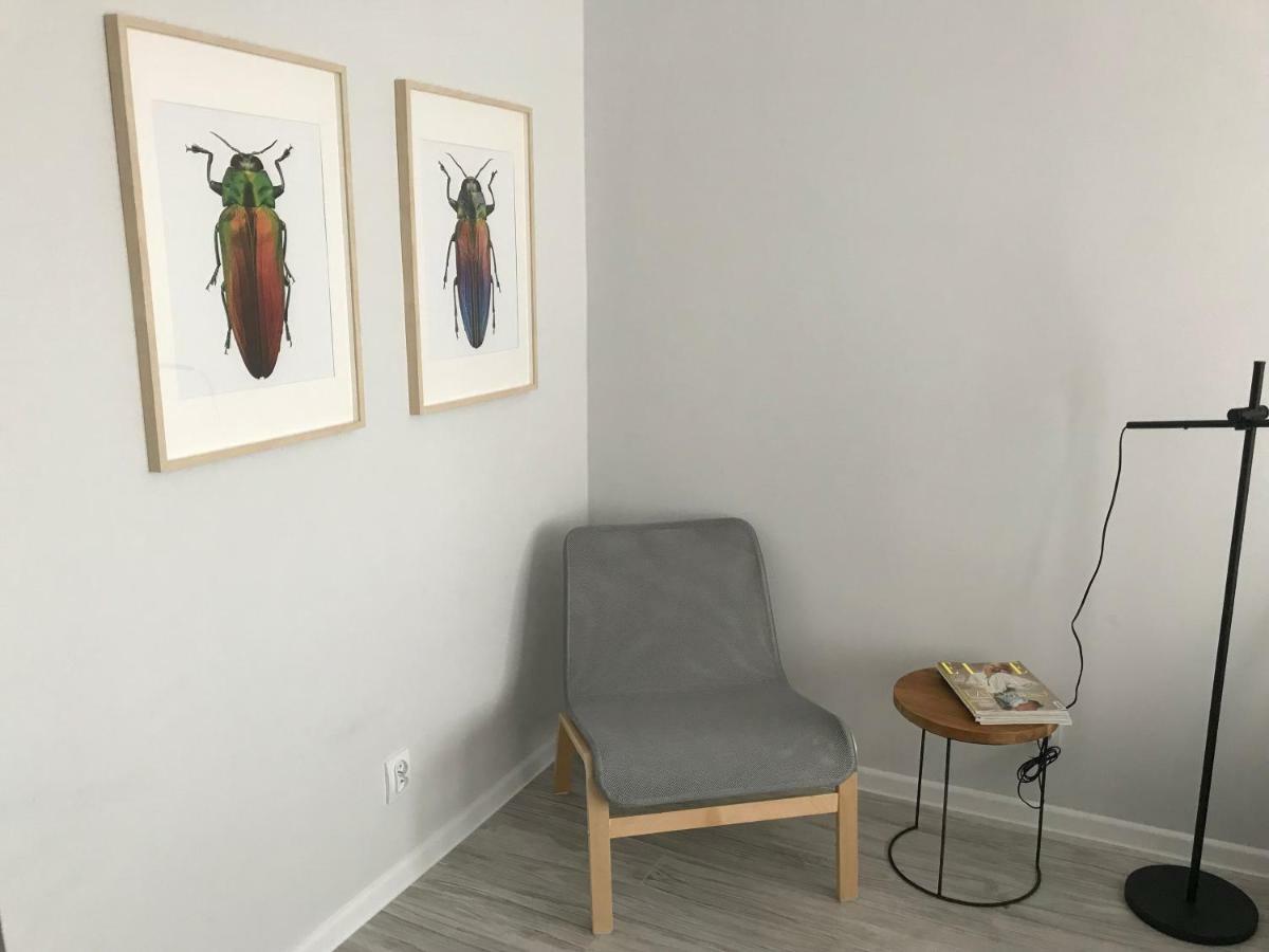 Apartament Kilinskiego 9 シュフィドニツァ エクステリア 写真